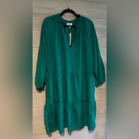 Corey Lynn Calter Teal Swim Coverup - Picture 9 of 11